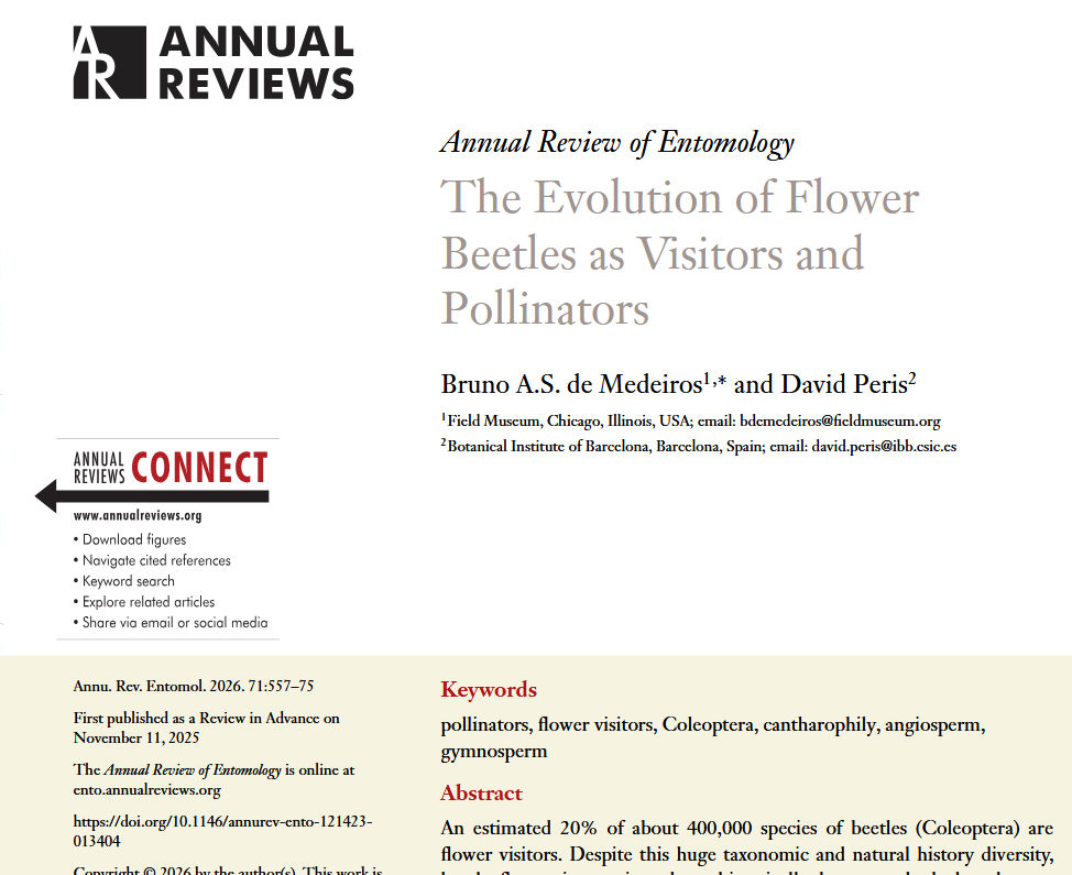 de Medeiros, Peris 2026